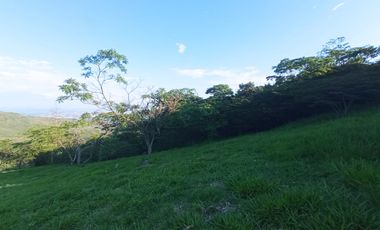 Venta Lote N°6 En Parcelación Campestre Dapa