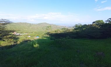 Venta Lote N° 3 En Parcelación Campestre Dapa