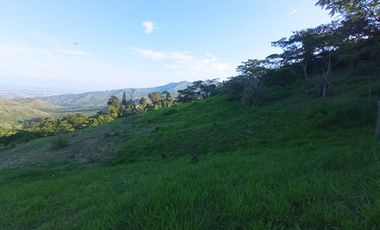 Venta Lote N° 3 En Parcelación Campestre Dapa