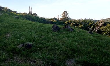 Venta Lote N° 3 En Parcelación Campestre Dapa