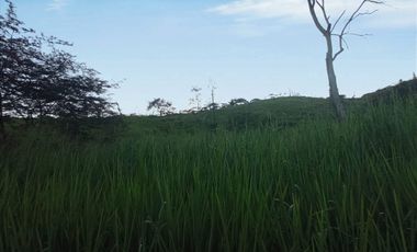 Venta Lote N° 3 En Parcelación Campestre Dapa