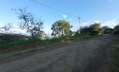 Venta Lote N° 3 En Parcelación Campestre Dapa