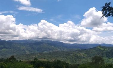 Finca En Venta - La Mesa Cundinamarca