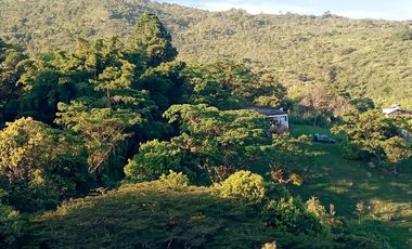 Venta Lote N° 1 En Parcelación Campestre Dapa