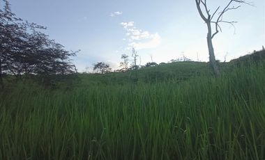 Venta Lote N° 1 En Parcelación Campestre Dapa