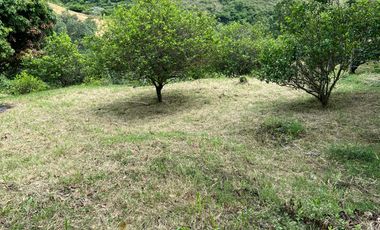 Venta Lote En Corregimiento Santa Inés Yumbo