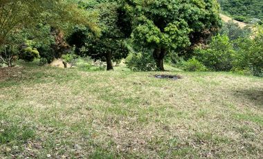 Venta Lote En Corregimiento Santa Inés Yumbo