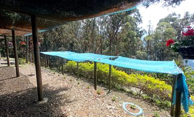 Hotel Ecoturistico, Dapa, Yumbo