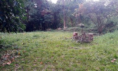 Lote En Venta - La Mesa - Vereda Alto Grande-anatoli