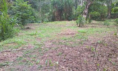 Lote En Venta - La Mesa - Vereda Alto Grande-anatoli