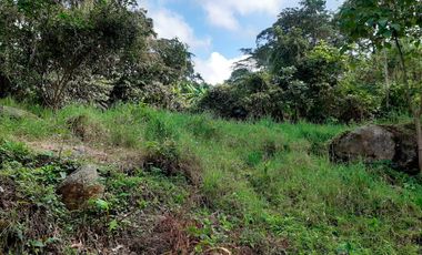 Lote En Venta - La Mesa - Vereda Alto Grande-anatoli