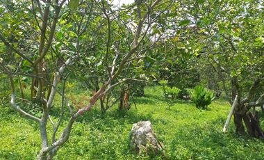 VENTA FINCA MESITAS DEL COLEGIO-6852