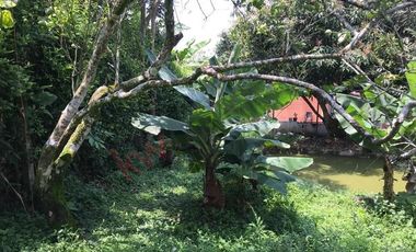 VENTA FINCA MESITAS DEL COLEGIO-6852