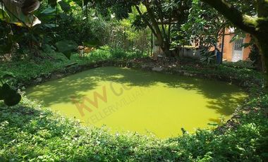 VENTA FINCA MESITAS DEL COLEGIO-6852
