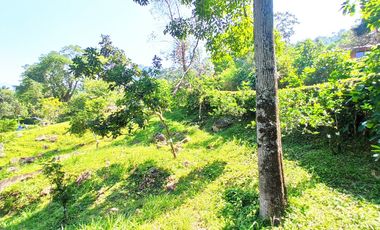 Venta  Finca De Descanso Y Productiva - Mesitas Del Colegio - Cundinamarca-9445