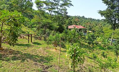 Venta  Finca De Descanso Y Productiva - Mesitas Del Colegio - Cundinamarca-9445