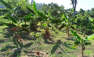 Venta  Finca De Descanso Y Productiva - Mesitas Del Colegio - Cundinamarca-9445