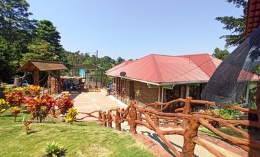 Venta  Finca De Descanso Y Productiva - Mesitas Del Colegio - Cundinamarca-9445