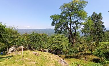 Venta  Finca De Descanso Y Productiva - Mesitas Del Colegio - Cundinamarca-9445