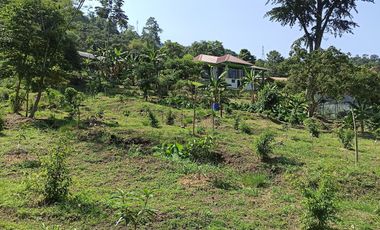 Venta  Finca De Descanso Y Productiva - Mesitas Del Colegio - Cundinamarca-9445