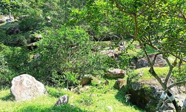 Venta  Finca De Descanso Y Productiva - Mesitas Del Colegio - Cundinamarca-9445