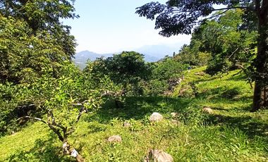 Venta  Finca De Descanso Y Productiva - Mesitas Del Colegio - Cundinamarca-9445