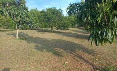 VENTA LOTE EN CONDOMINIO - LA MESA VIA SAN JOAQUIN-9476