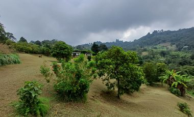 Venta Dapa Casa Finca Para Remodelar A Su Gusto, Sector Miravalle Yumbo Dapa Finca Lote Casa Campestre