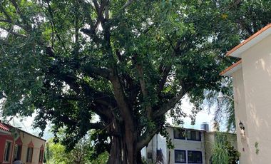 Casa en Fraccionamiento Lomas de Cuernavaca