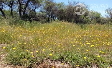 Parcela en Venta en A 15 MINUTOS DEL CENTRO DE CAUQUENES Y MEDIA HORA DE PLAYA CHANCO Y PELLUHUE