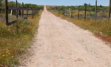 Parcela en Venta en A 15 MINUTOS DEL CENTRO DE CAUQUENES Y MEDIA HORA DE PLAYA CHANCO Y PELLUHUE