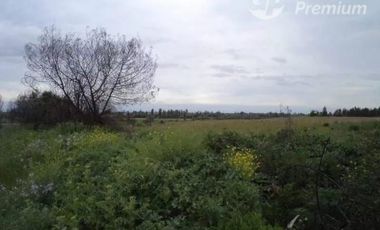 Agrícola en Venta en A SOLO 15 MINUTOS DE LINARES