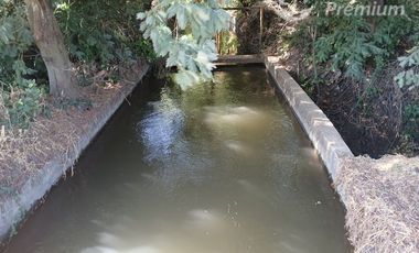 Agrícola en Venta en A SOLO 22 MINUTOS DE LINARES