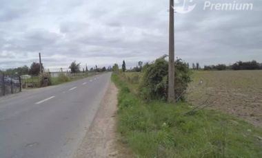 Agrícola en Venta en A SOLO 15 MINUTOS DE LINARES