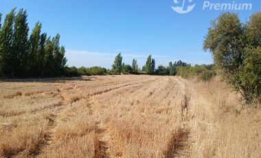 Agrícola en Venta en A SOLO 22 MINUTOS DE LINARES