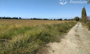 Agrícola en Venta en A SOLO 15 MINUTOS DE LINARES