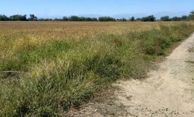 Agrícola en Venta en A SOLO 15 MINUTOS DE LINARES