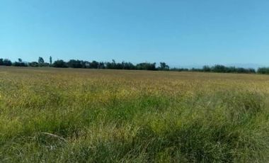 Agrícola en Venta en A SOLO 15 MINUTOS DE LINARES