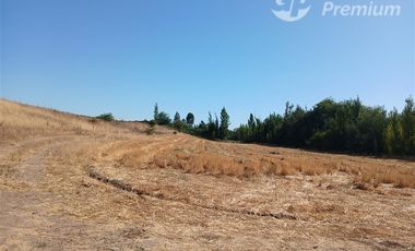 Agrícola en Venta en A SOLO 22 MINUTOS DE LINARES