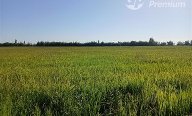 Agrícola en Venta en A SOLO 22 MINUTOS DE LINARES