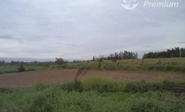 Agrícola en Venta en A SOLO 15 MINUTOS DE LINARES
