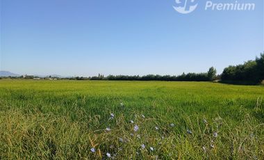 Agrícola en Venta en A SOLO 22 MINUTOS DE LINARES