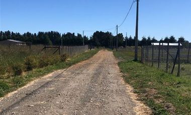 Parcela en Venta en SECTOR POLIZONES COMUNA DE LOS MUERMOS