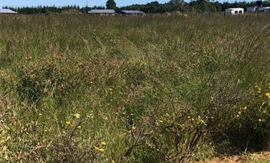 Parcela en Venta en SECTOR POLIZONES COMUNA DE LOS MUERMOS