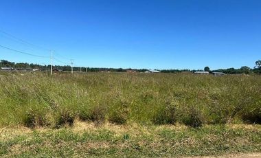 Parcela en Venta en SECTOR POLIZONES COMUNA DE LOS MUERMOS