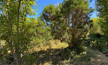 Parcela en Venta en LA PASADA CHANHUE COMUNA DE LOS MUERMOS