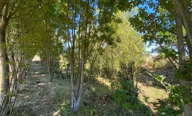Parcela en Venta en LA PASADA CHANHUE COMUNA DE LOS MUERMOS