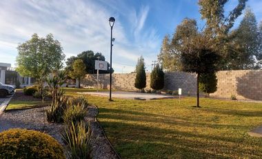 Casa en renta en Los Viñedos, Torreón, Coahuila