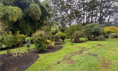 SE VENDE FINCA EN EL CARMEN VA LA CEJA RIONEGRO INDEPENDIENTE