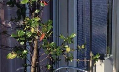 Departamento en Venta con Vistas al Río en Vicente López